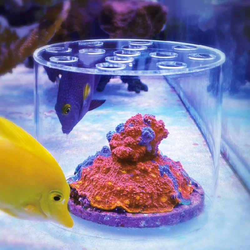 Aquarium Fish Feeder - Vastocean Aquarium Acryl Koraal Feeder Kap