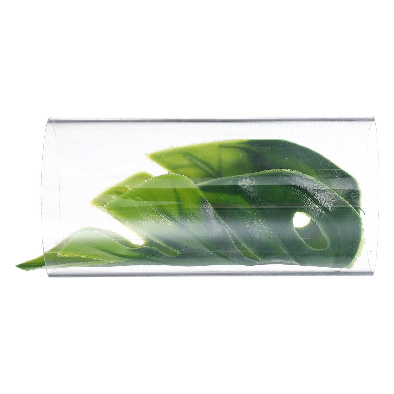 Fish Aquarium Youtube Relaxing - Betta Vis Transparante Buis Tunnel Rustplaats