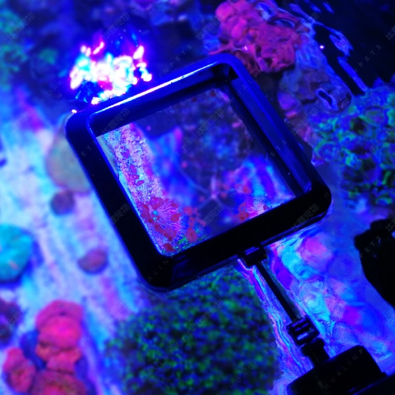 VASTOCEAN magnetische voerring - Aquarium Fish Price recensie en prijs