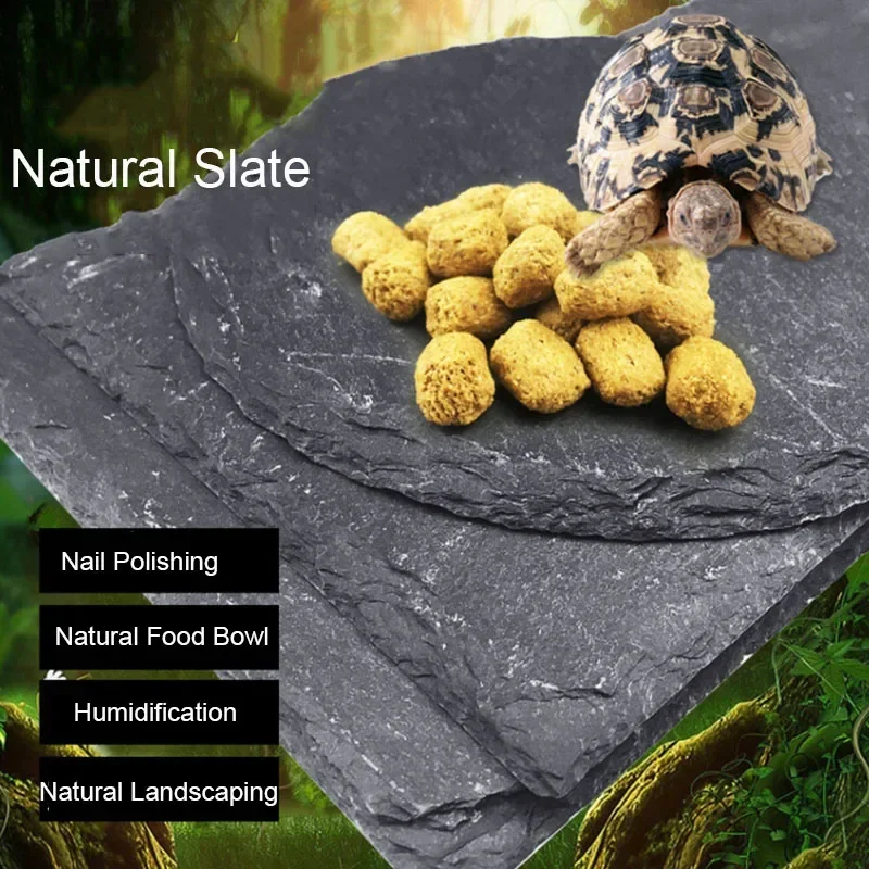 Natuurlijk Leisteen Aquarium R - Aquarium Fish Price recensie en prijs