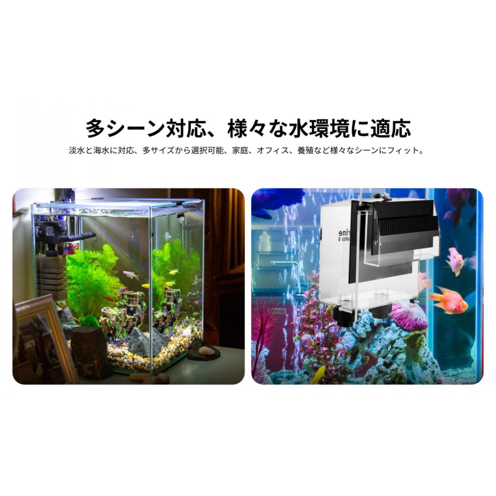 Acryl Overloopbak Aquarium Uit - Fish Aquarium Guide recensie en prijs