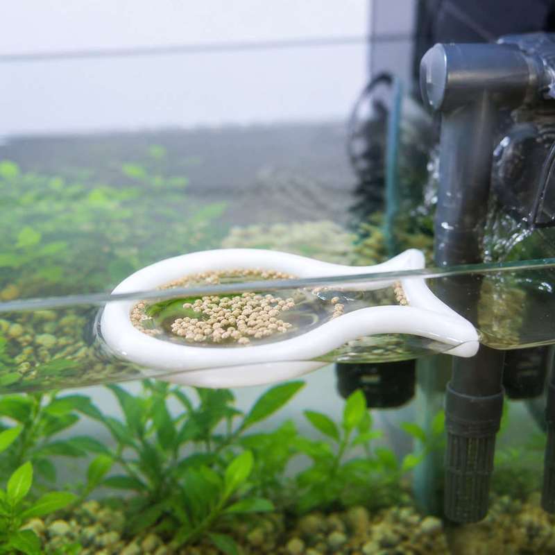 Visvormige drijvende voederrin - Aquarium Fish Price recensie en prijs