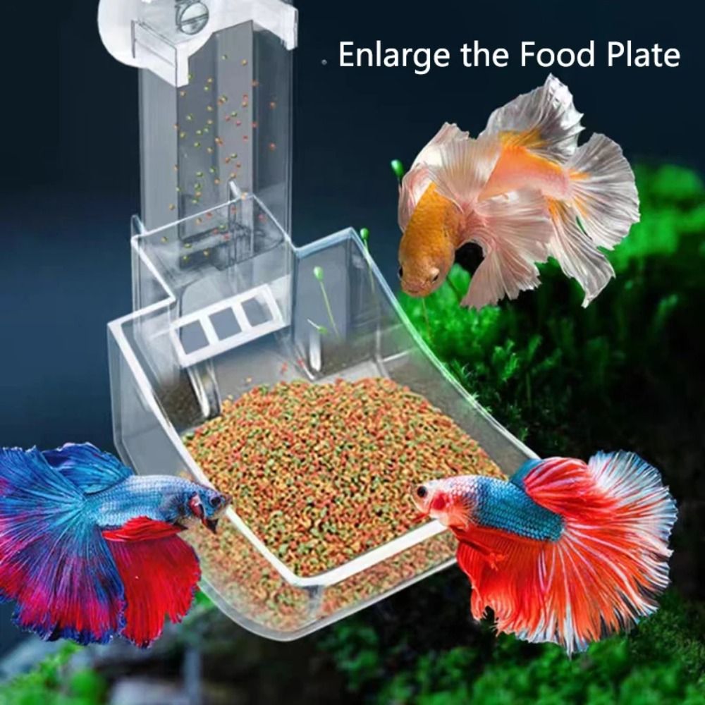 Transparant Aquarium Fish Tank - Aquarium Fish Price recensie en prijs