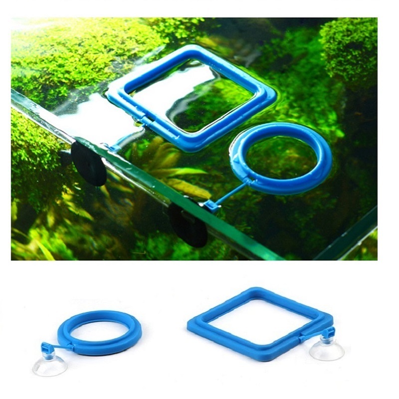 Visvoeding Ring Feeder Visuitr - Tetra Fish In Aquarium recensie en prijs