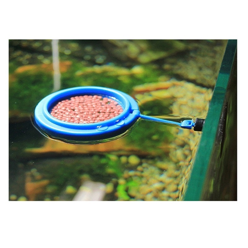 Visvoeding Ring Feeder Visuitr - Tetra Fish In Aquarium recensie en prijs