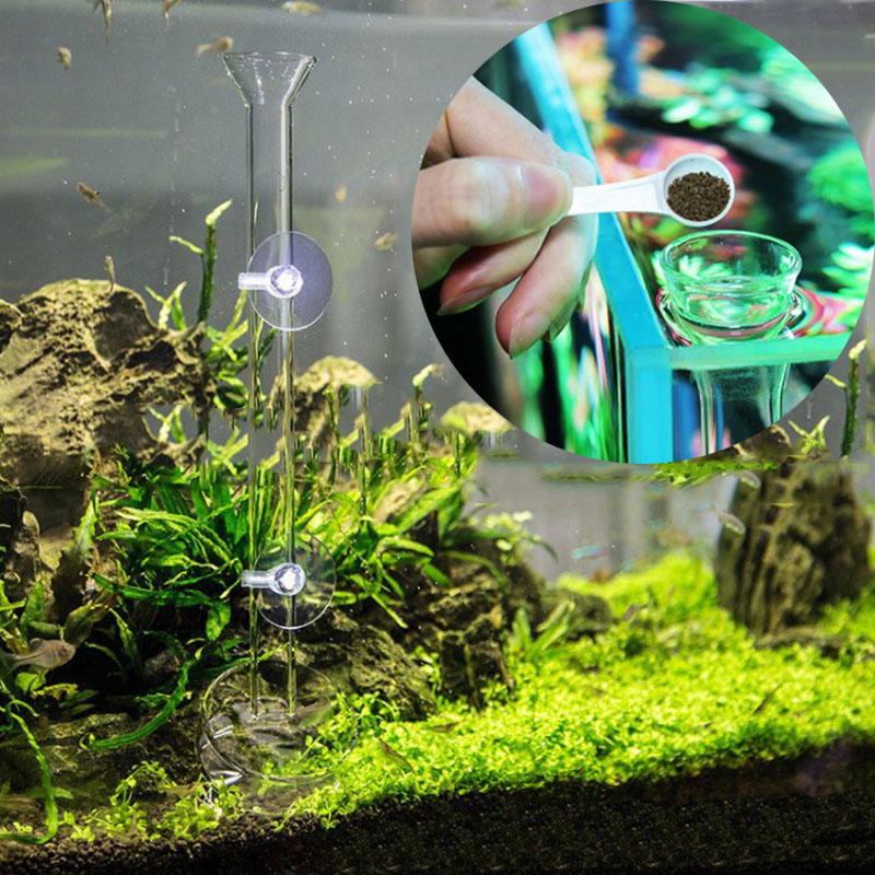 Glas Aquarium Feeder Buis Scho - Aquarium Fish Price recensie en prijs