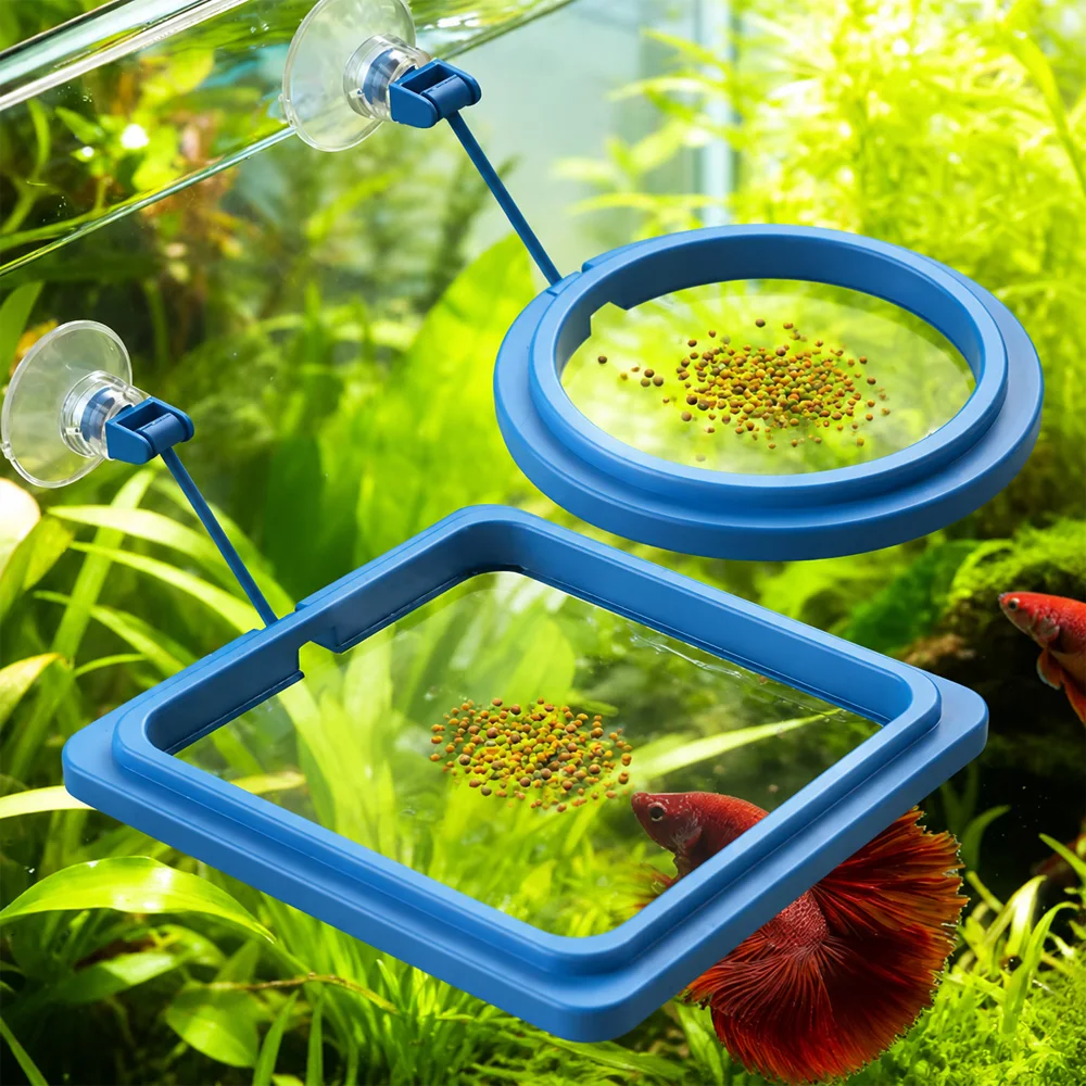 Betta Visvoer Drijvende Mini P - Aquarium Fish Price recensie en prijs