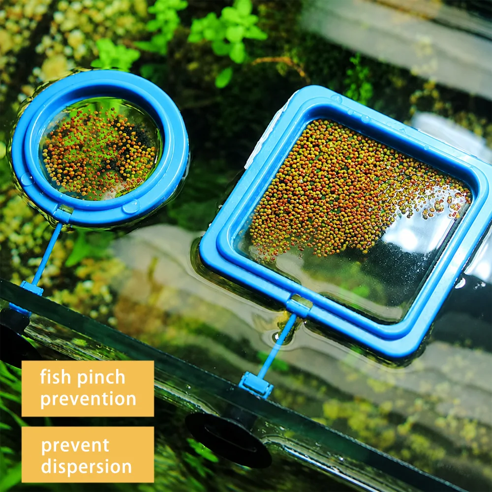 Betta Visvoer Drijvende Mini P - Aquarium Fish Price recensie en prijs