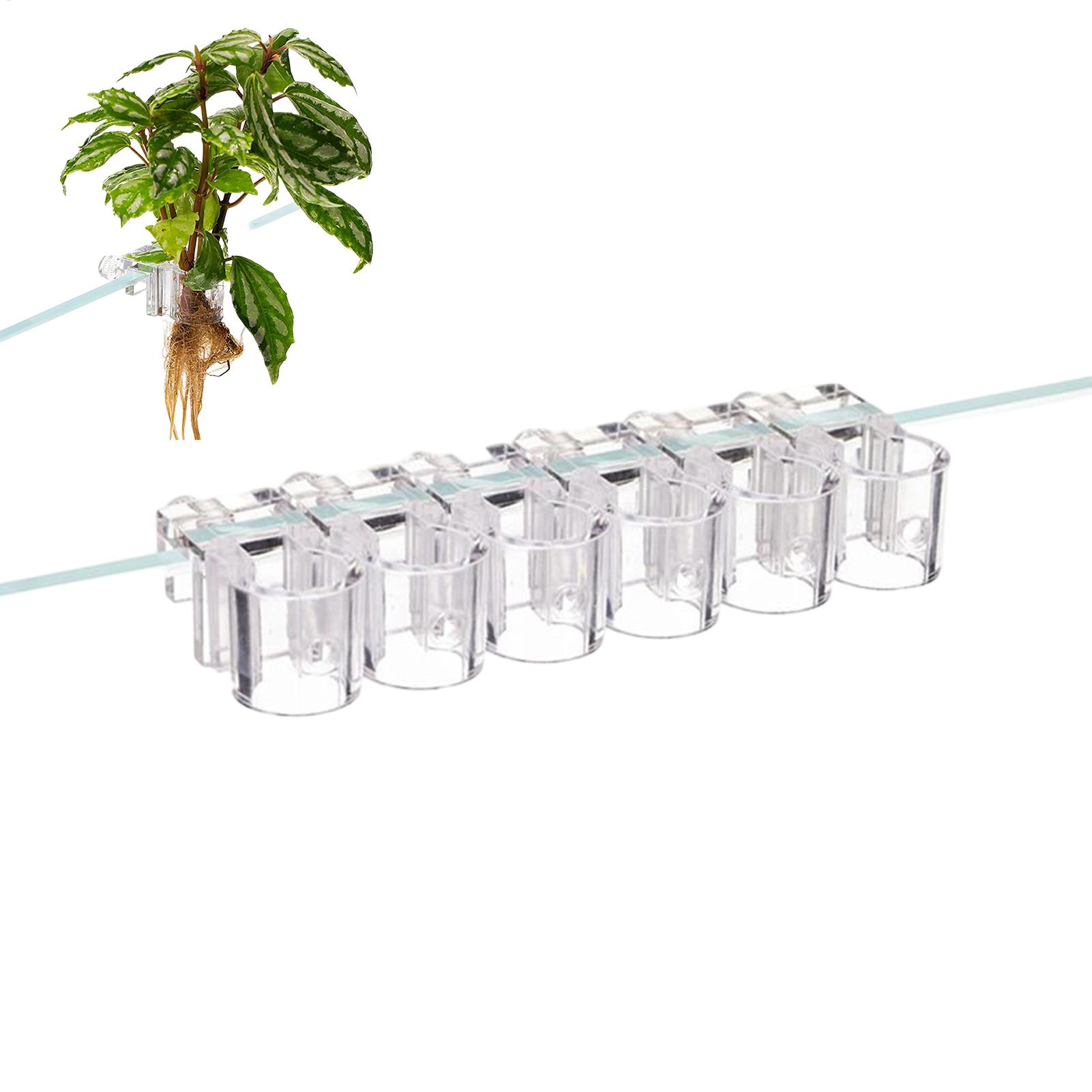 Mini Aquarium Plantenbak 6 Stu - Aquarium Fish Feeder recensie en prijs