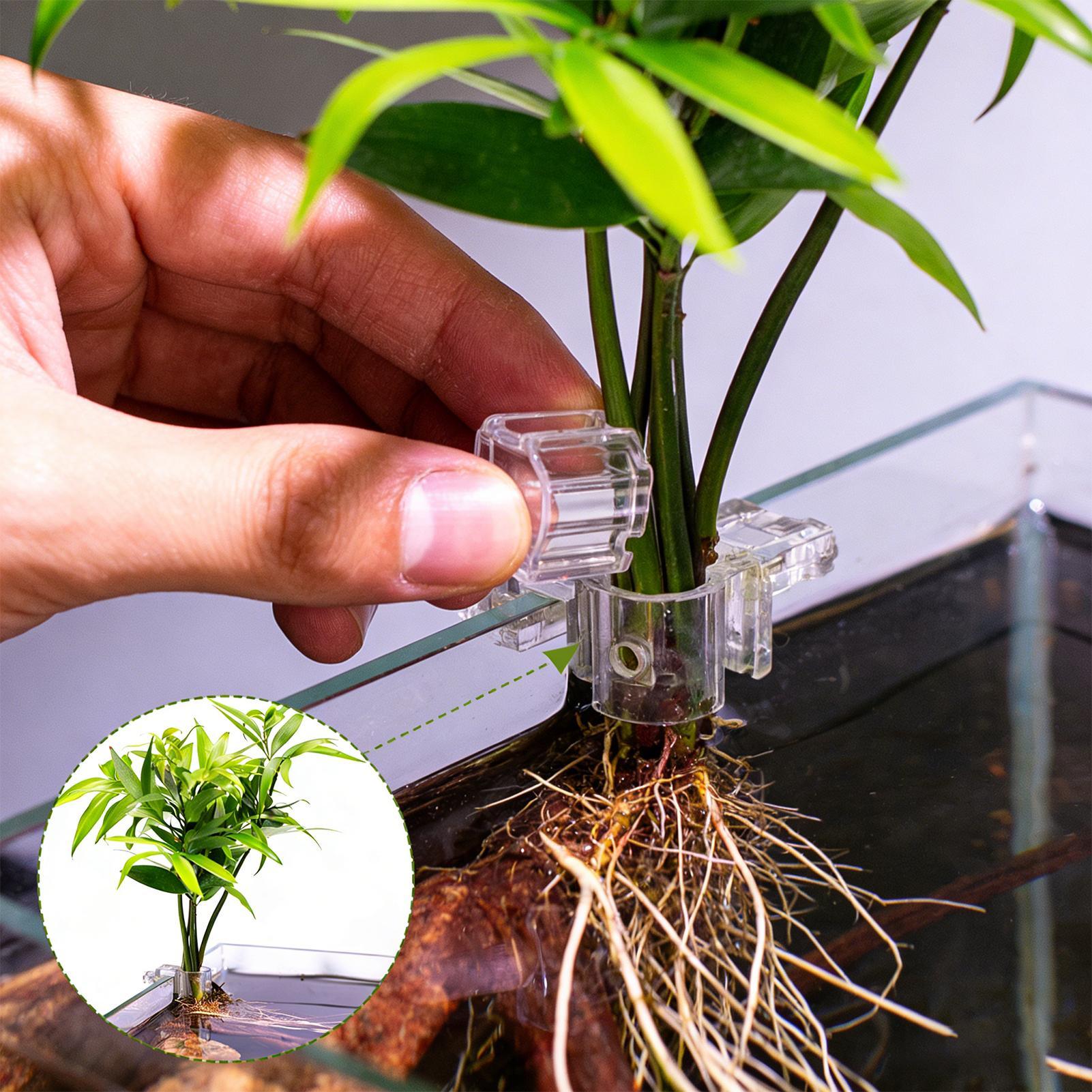 Mini Aquarium Plantenbak 6 Stu - Aquarium Fish Feeder recensie en prijs
