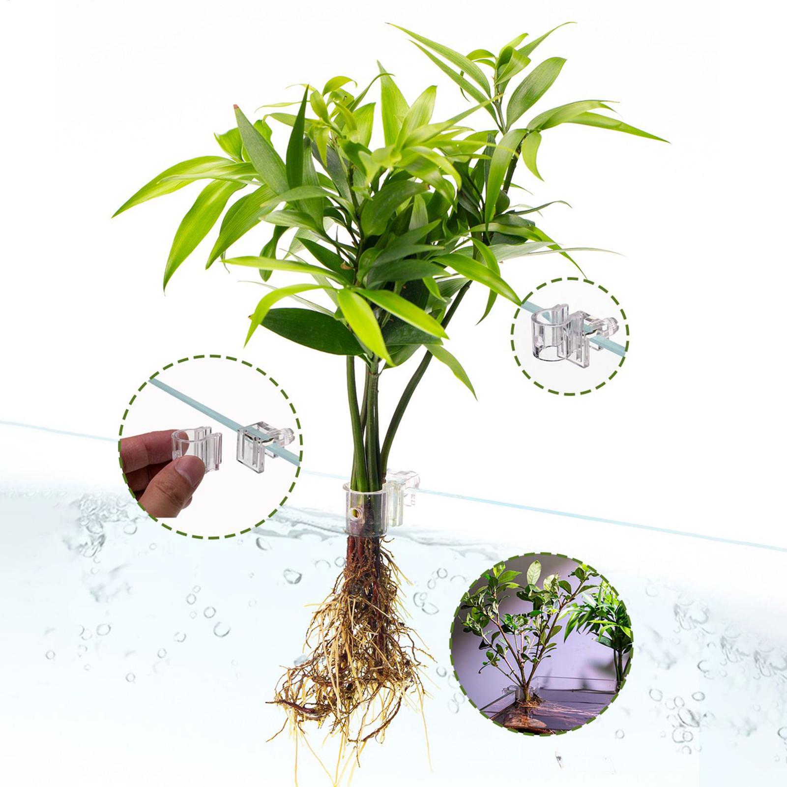 Mini Aquarium Plantenbak 6 Stu - Aquarium Fish Feeder recensie en prijs