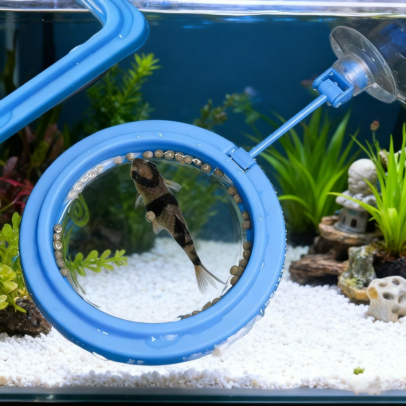 Aquarium Visbak Voederringstat - Aquarium Fish Price recensie en prijs