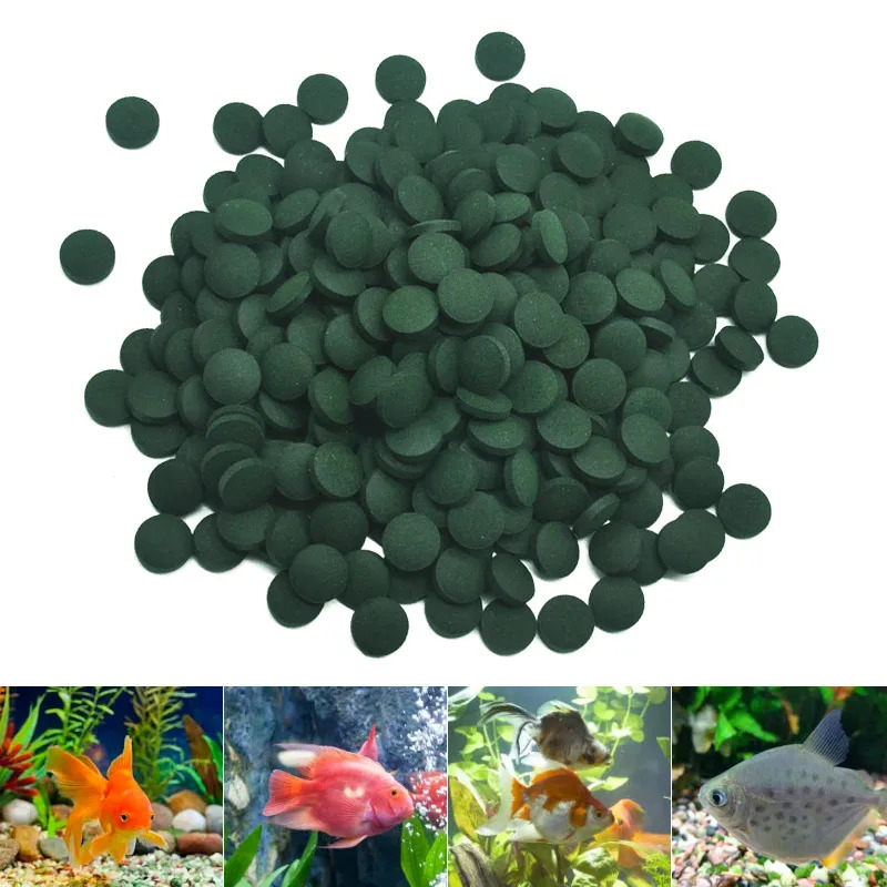 50-300 Stuks Hoge Zuiverheid S - Aquarium Fish Price recensie en prijs