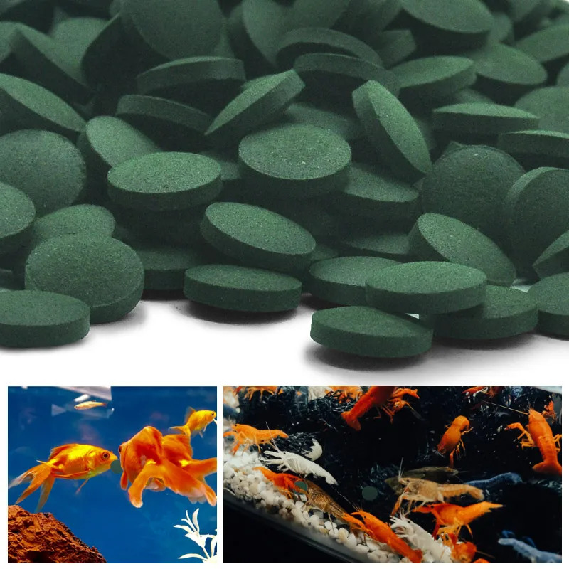 50-300 Stuks Hoge Zuiverheid S - Aquarium Fish Price recensie en prijs