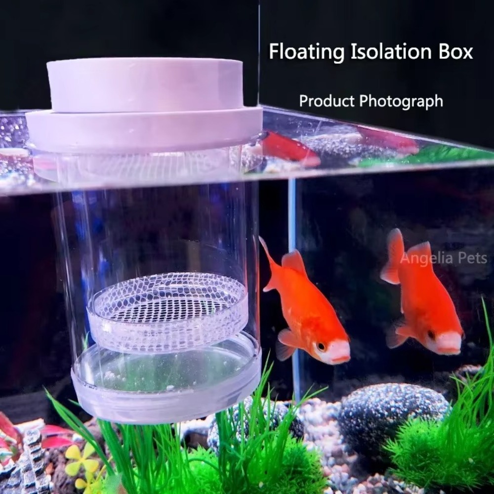 Plastic Drijvende Vis Fokken I - Aquarium Fish Feeder recensie en prijs