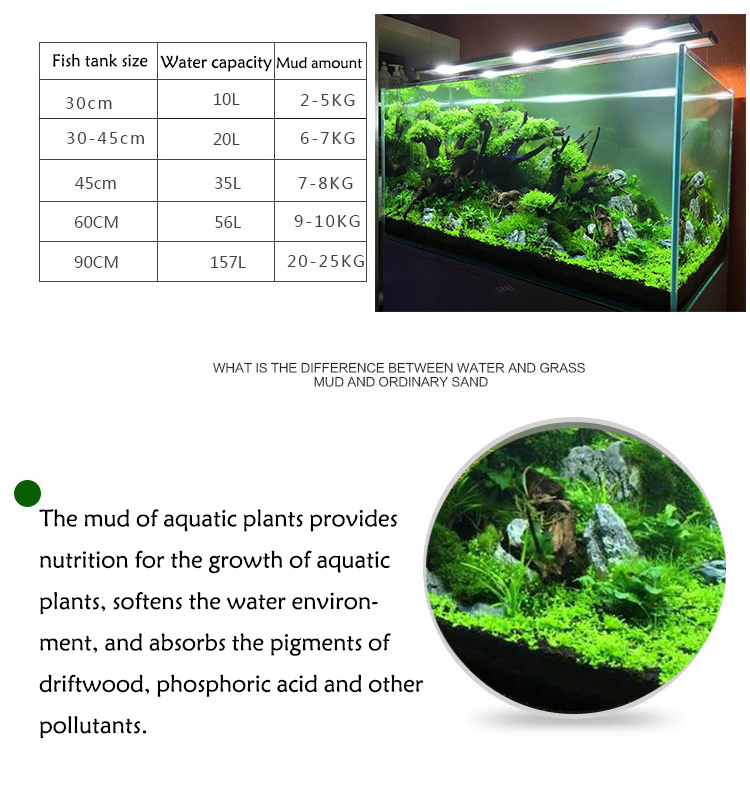 Aquarium Plant Zaden Bodem Fis - Aquarium Fish Price recensie en prijs