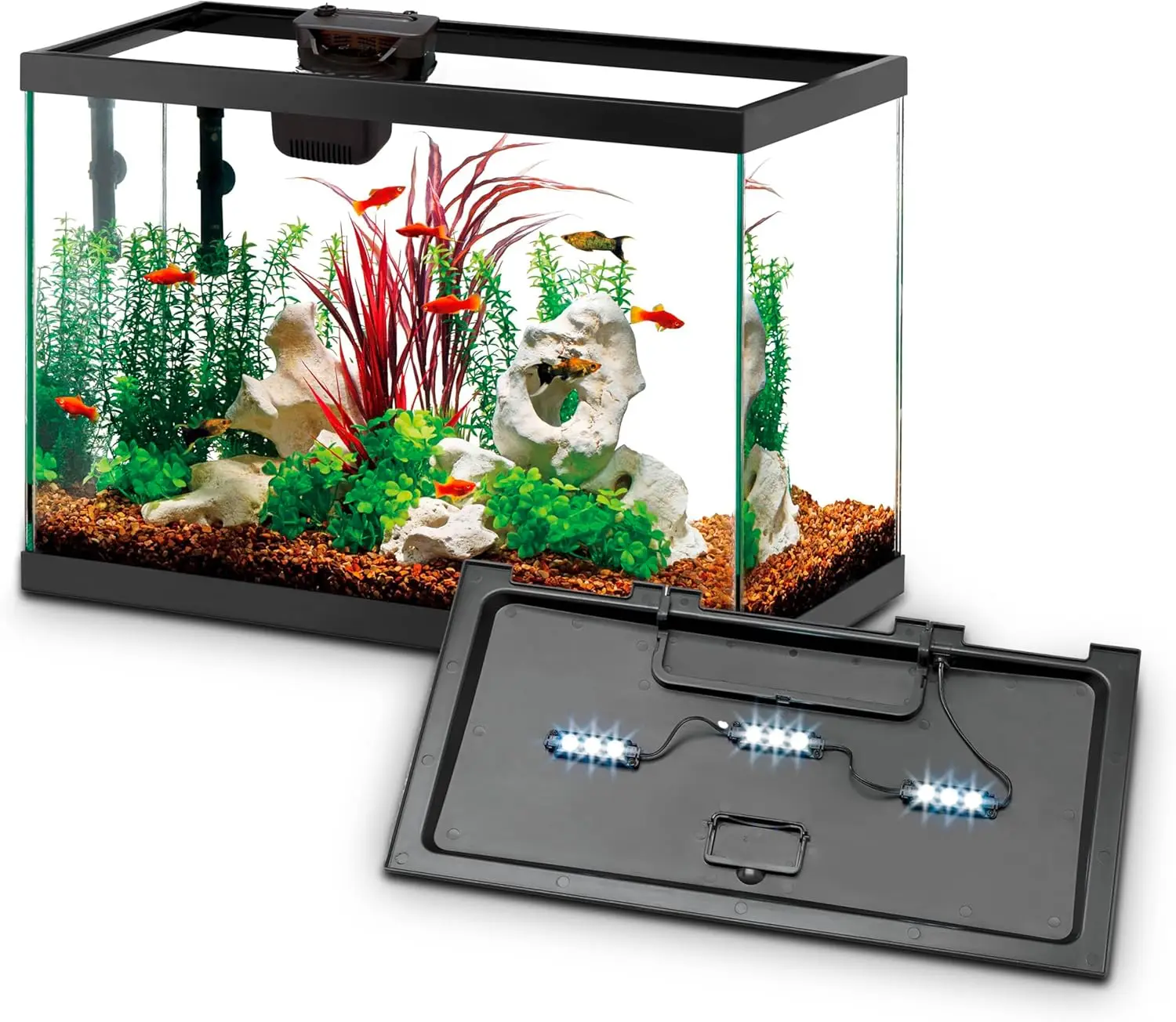 Aquarium Starterset met slimme - Tetra Fish In Aquarium recensie en prijs
