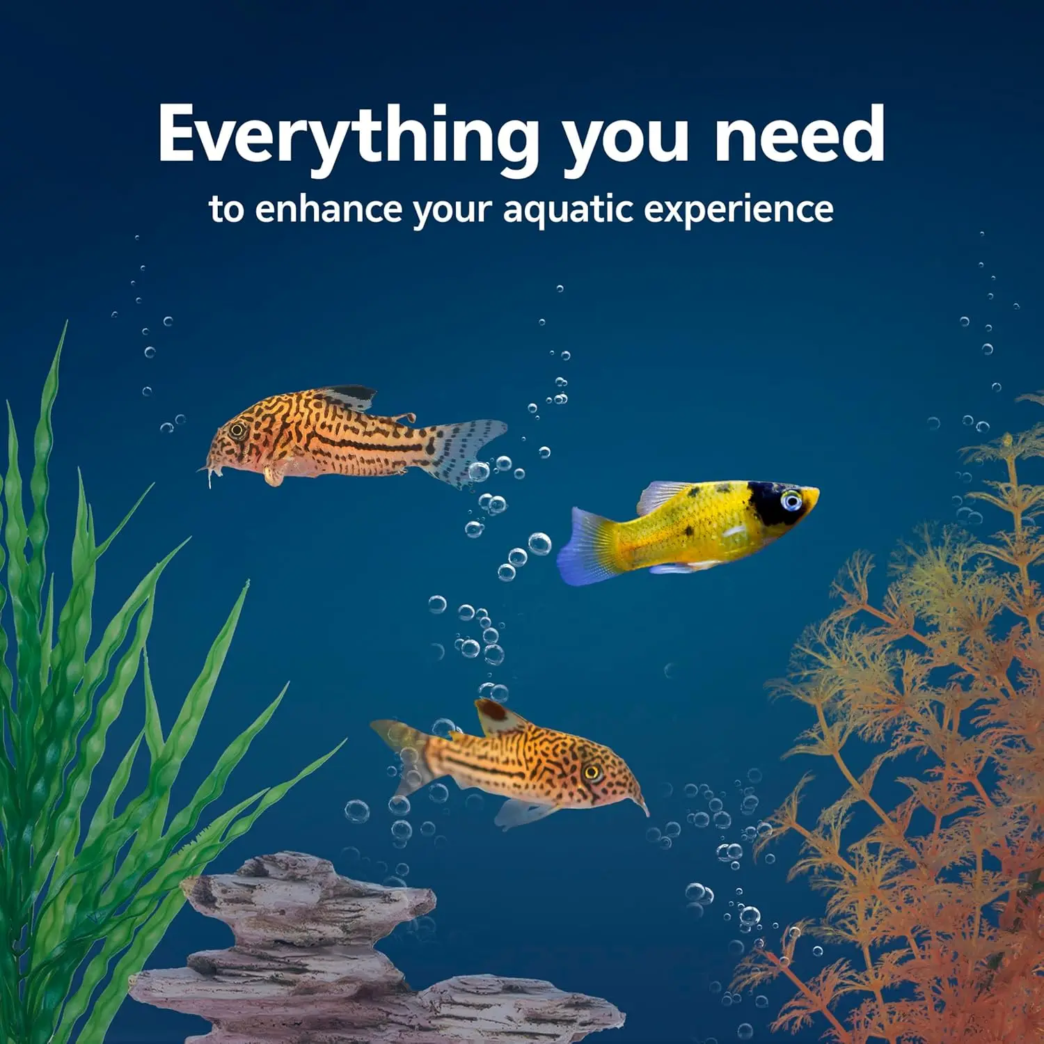 Aquarium Starterset met slimme - Tetra Fish In Aquarium recensie en prijs