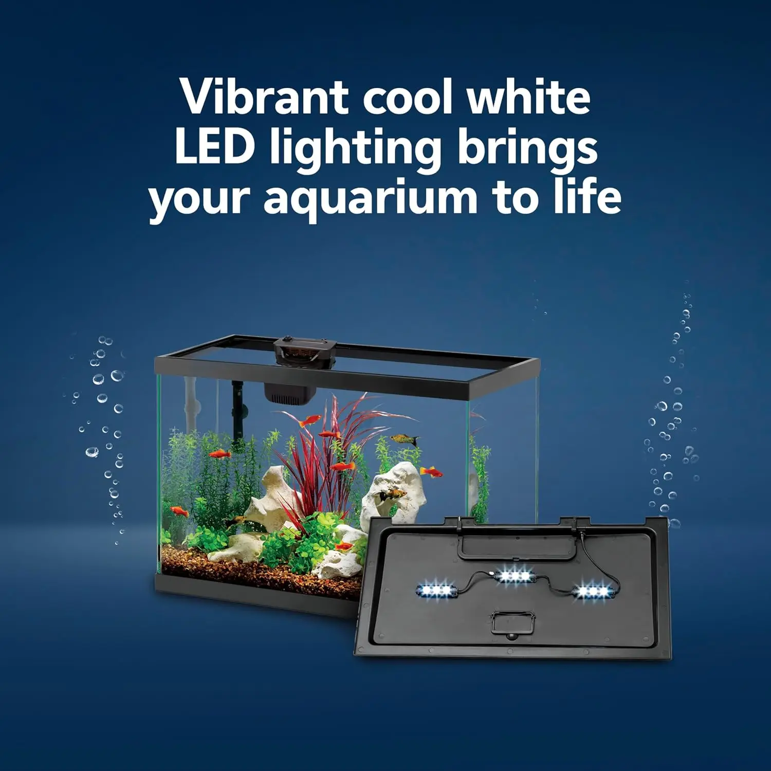 Aquarium Starterset met slimme - Tetra Fish In Aquarium recensie en prijs