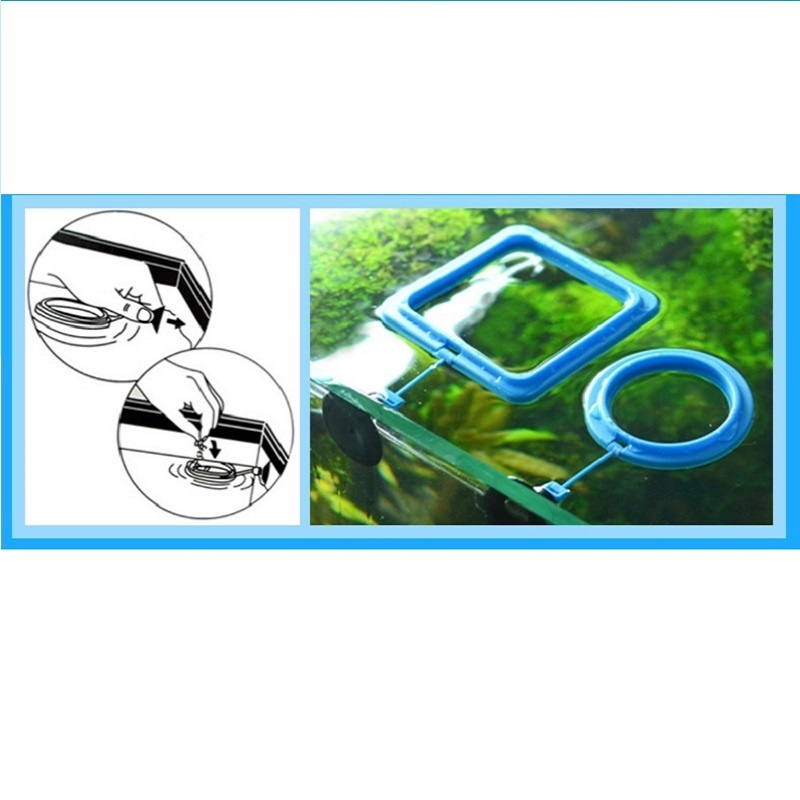 Visvoeding ring feeder visuitr - Tetra Fish In Aquarium recensie en prijs